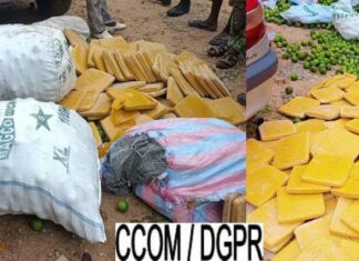 Parakou : 226 plaquettes de chanvre indien dissimulées sous des oranges saisies par la Police républicaine