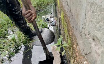 Dèkoungbé : un jeune homme interpellé après la découverte du corps décapité de son père